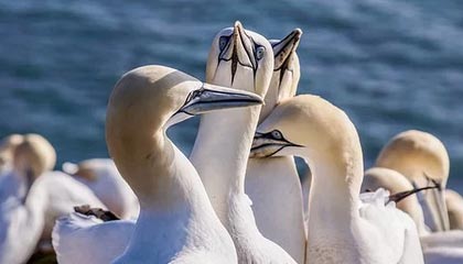 高价回收医保卡余额联系方式深圳的简单介绍