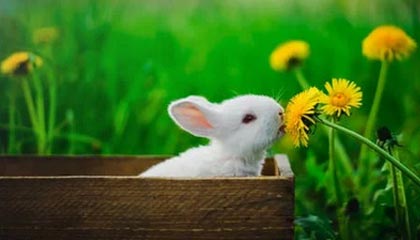 瑞安高价上海医保提取2025的最新政策(2025年瑞安上海医保怎么提取现金分享)